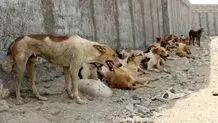 بی‌تدبیری آشکار
