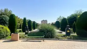 پس‌لرزه ماجرای جنجالی قطع درختان و ساخت‌وساز در پارک لاله تهران؛ دستور توقف پروژه صادر شد؟/ ویدئو
