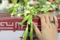 شهادت یک پلیس در هرمزگان