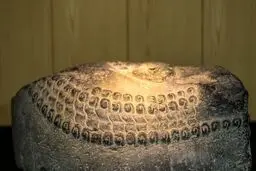 بخشی از الواح هخامنشی بازگشته از آمریکا به موزه تخت جمشید منتقل می‌شود

