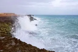 سواحل استان بوشهر مواج‌ می شود
