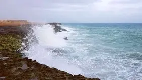 سواحل استان بوشهر مواج‌ می شود