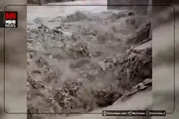 طغیان رودخانه کنارجو در بخش بمانی سیریک + ویدیو