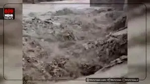 طغیان رودخانه کنارجو در بخش بمانی سیریک + ویدیو