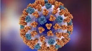 هشدار درباره شیوع ویروس جدید در اروپا؛ آماده‌باش صادر شد