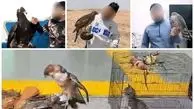 اقدام حفاظت محیط زیست/ دکتر عقاب دستگیر شد

