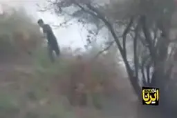 آتش سوزی های گیلان عمدی بود؟+ ویدئو