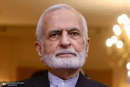 کمال خرازی: ایران آماده است هرگونه طرح پیشنهاد روسیه و چین را برای همکاری بین ایران و آژانس اتمی بررسی کند

