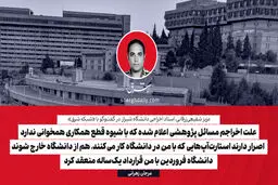 علت اخراجم مسائل پژوهشی اعلام‌ شده که با شیوه قطع همکاری همخوانی ندارد/ اصرار دارند استارت‌آپ‌هایی که با من در دانشگاه کار می‌کنند، هم از دانشگاه خارج شوند/ دانشگاه فروردین با من قرارداد یک‌ساله منعقد کرد