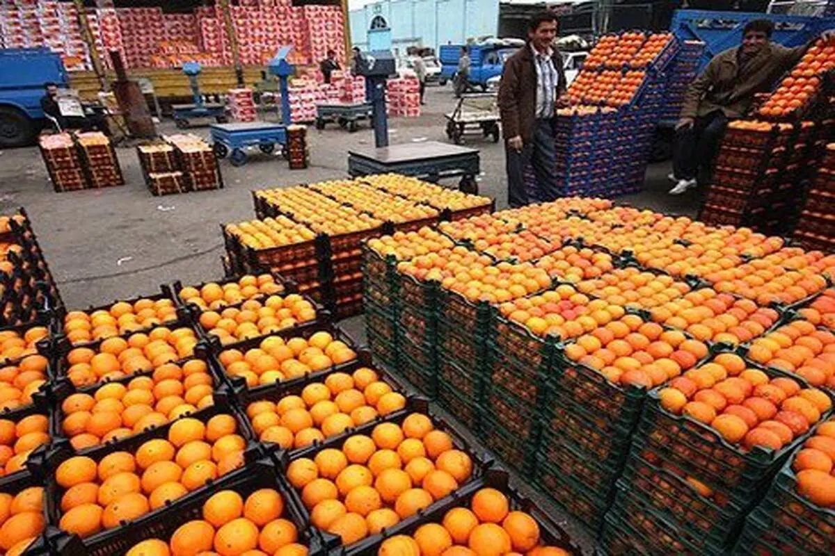 عرضه میوه شب عید و خرما ۲۰ درصد پایین‌تر از نرخ بازار
