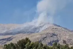 آتش‌سوزی در کوه دراک شیراز ادامه دارد 