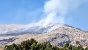 آتش‌سوزی در کوه دراک شیراز ادامه دارد 