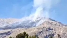 جنگل‌های هلن طعمه حریق شد