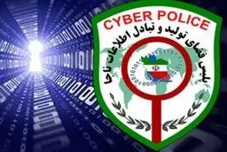 شناسایی ۵۰۰ صفحه اینترنتی «توهین‌کننده به شهدای کرمان» ؛ از دستگیری، احضار و تذکر تا حذف محتوای مجرمانه