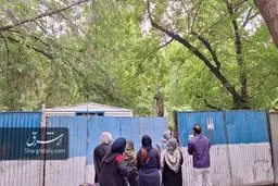ساخت‌وساز این‌بار در پارک لاله؛ درختان قدیمی در معرض تهدید هستند /تصاویر و ویدئو