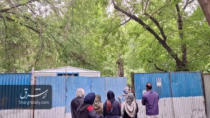 ساخت‌وساز این‌بار در پارک لاله؛ درختان قدیمی در معرض تهدید هستند /تصاویر و ویدئو