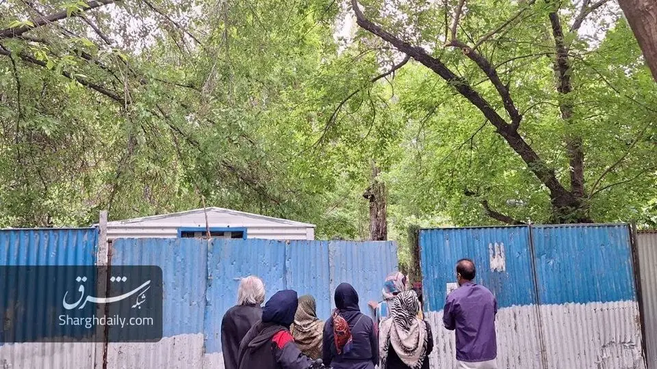 ساخت‌وساز این‌بار در پارک لاله؛ درختان قدیمی در معرض تهدید هستند /تصاویر و ویدئو