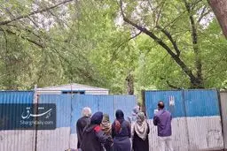 ساخت‌وساز این‌بار در پارک لاله؛ درختان قدیمی در معرض تهدید هستند /تصاویر و ویدئو