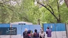 ساخت‌وساز این‌بار در پارک لاله؛ درختان قدیمی در معرض تهدید هستند /تصاویر و ویدئو