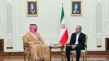 وزیر دفاع عربستان با پزشکیان دیدار کرد

