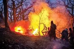 مهار کامل آتش‌سوزی الیت/ نیروها در حال لکه‌گیری هستند