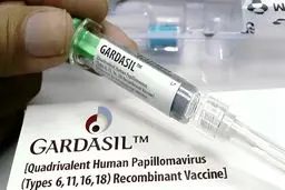 تجارت با واکسن ۲۰ میلیون تومانی در بازار سیاه/ چرا گارداسیل قاچاق میشود؟