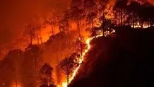 آتش‌سوزی گسترده در جنگل‌های نمک‌آبرود