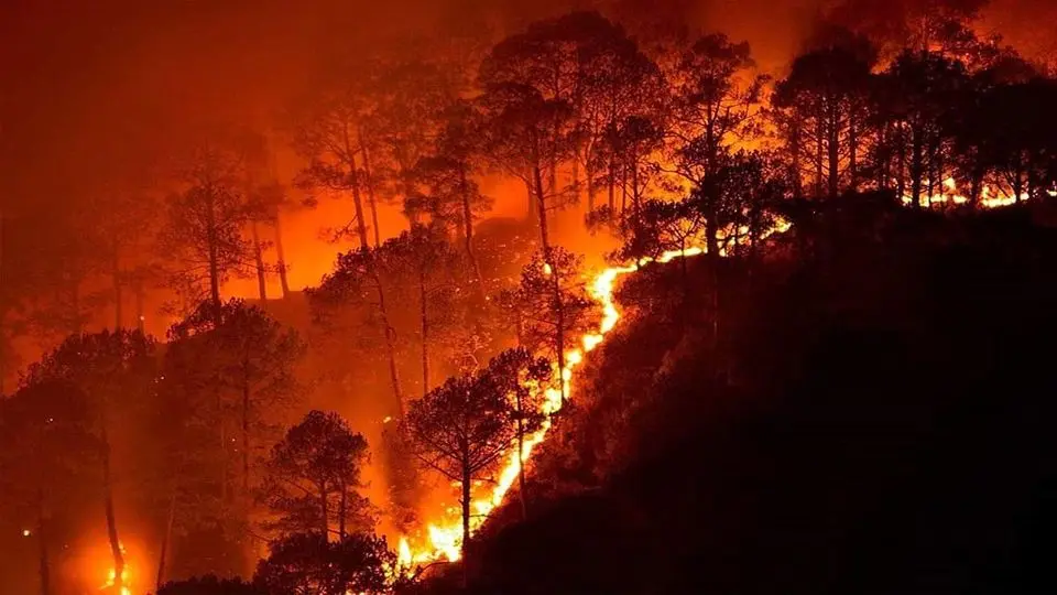 آتش‌سوزی گسترده در جنگل‌های نمک‌آبرود