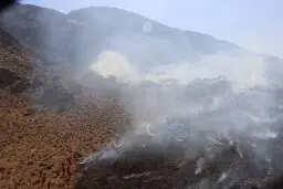 جنگل شَلَم ایلام آتش گرفت
