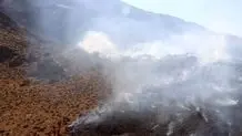 جنگل شَلَم ایلام آتش گرفت