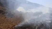 جنگل شَلَم ایلام آتش گرفت