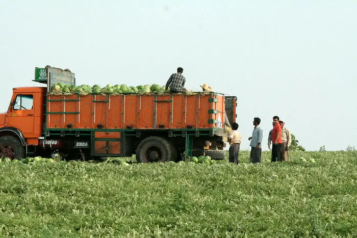 ماجرای جنجالی برگشت هندوانه صادراتی ایران از عراق و فروش محموله مرجوعی در بازار کردستان؛ هندوانه ایرانی آلوده است؟/ ویدئو