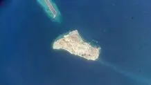 چرا بدن دلفین‌ها و نهنگ‌ها در تنگه هرمز آلوده شدند / در سواحل «شیدور» و «لاوان» چه خبر است ؟