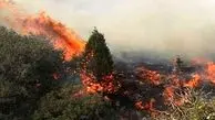 ۱۷۰۰ فقره آتش‌سوزی در عرصه‌های منابع طبیعی در سال 1402

