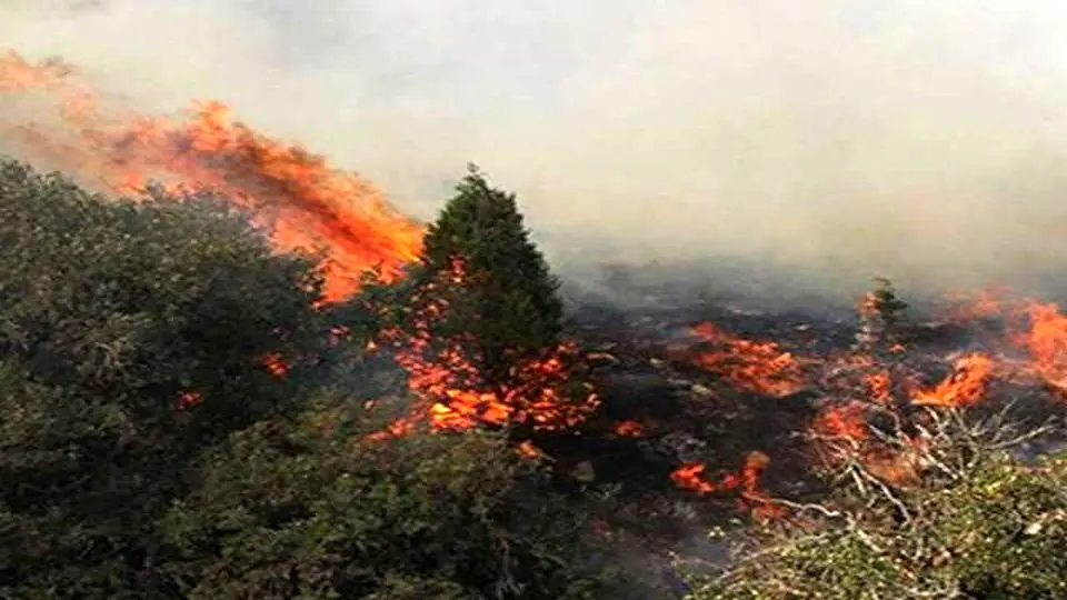 ۱۷۰۰ فقره آتش‌سوزی در عرصه‌های منابع طبیعی در سال 1402

