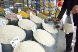 آخرین قیمت برنج، از ایرانی تا خارجی 