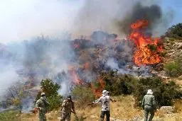 کوه دهک باشت در محاصره آتش؛ تلاش بی‌وقفه برای خاموشی حریق