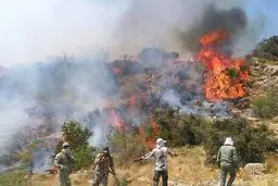 کوه دهک باشت در محاصره آتش؛ تلاش بی‌وقفه برای خاموشی حریق