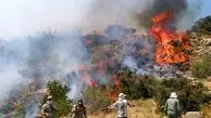 کوه دهک باشت در محاصره آتش؛ تلاش بی‌وقفه برای خاموشی حریق