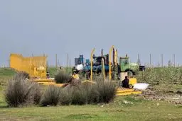 پتروشیمی میانکاله برای همیشه بسته شد