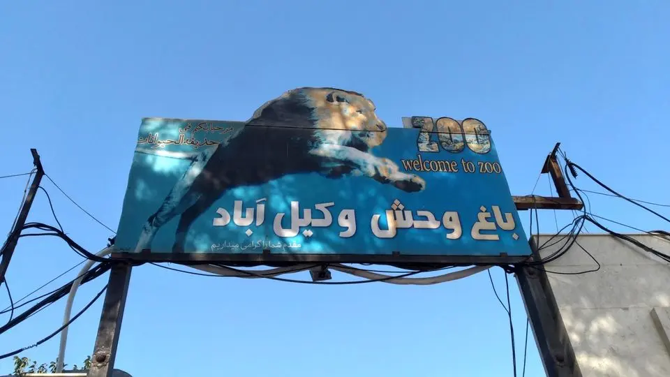 ویدئویی تاسف برانگیز از باغ وحشی در مشهد/ ویدئو

