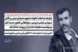 ​باتوجه به اعلام خانواده شهید صیادی مبنی بر قاتل نبودن عباس دریس، دیوانعالی کشور دست کم می‌توانست مجازات اعدام را از پرونده حذف کند/ آخرین امید ما، اعمال ماده ۴۷۷ قانون آیین دادرسی کیفری است