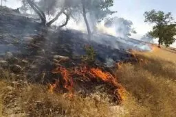 آتش سوزی در کبیر کوه دره شهر مهار شد