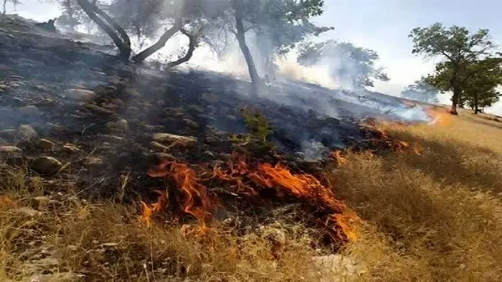 آتش سوزی در کبیر کوه دره شهر مهار شد