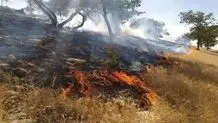 آتش سوزی در کبیر کوه دره شهر مهار شد