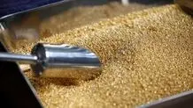 قیمت هر اونس طلا امروز 28 فروردین 1405/ طلای جهانی در آستانه چهارمین افزایش هفتگی قیمت