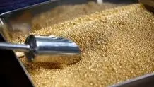 قیمت هر اونس طلا امروز 28 فروردین 1405/ طلای جهانی در آستانه چهارمین افزایش هفتگی قیمت