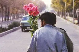 مضمونی که مخاطب را سر شوق می‌آورد