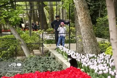 باغ گل ایرانی در محله ده‌ونک تهران