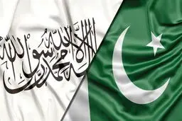 پاکستان قاچاق اسلحه به افغانستان را رد کرد